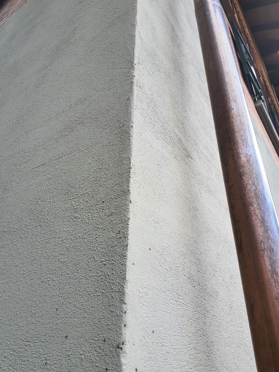 ameisen_vertreiben_bekaempfen_entfernen