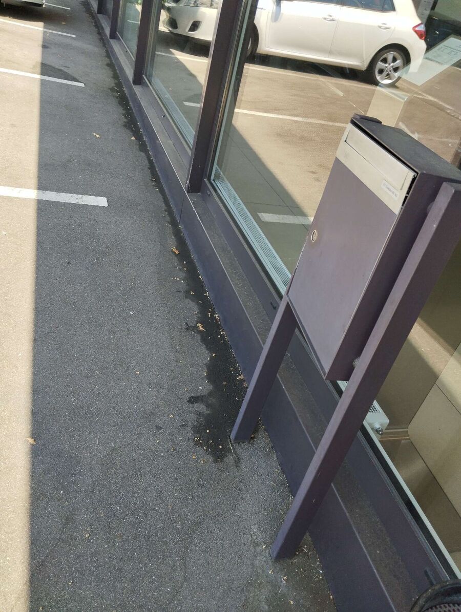 ameisen_vertreiben_bekaempfen_entfernen