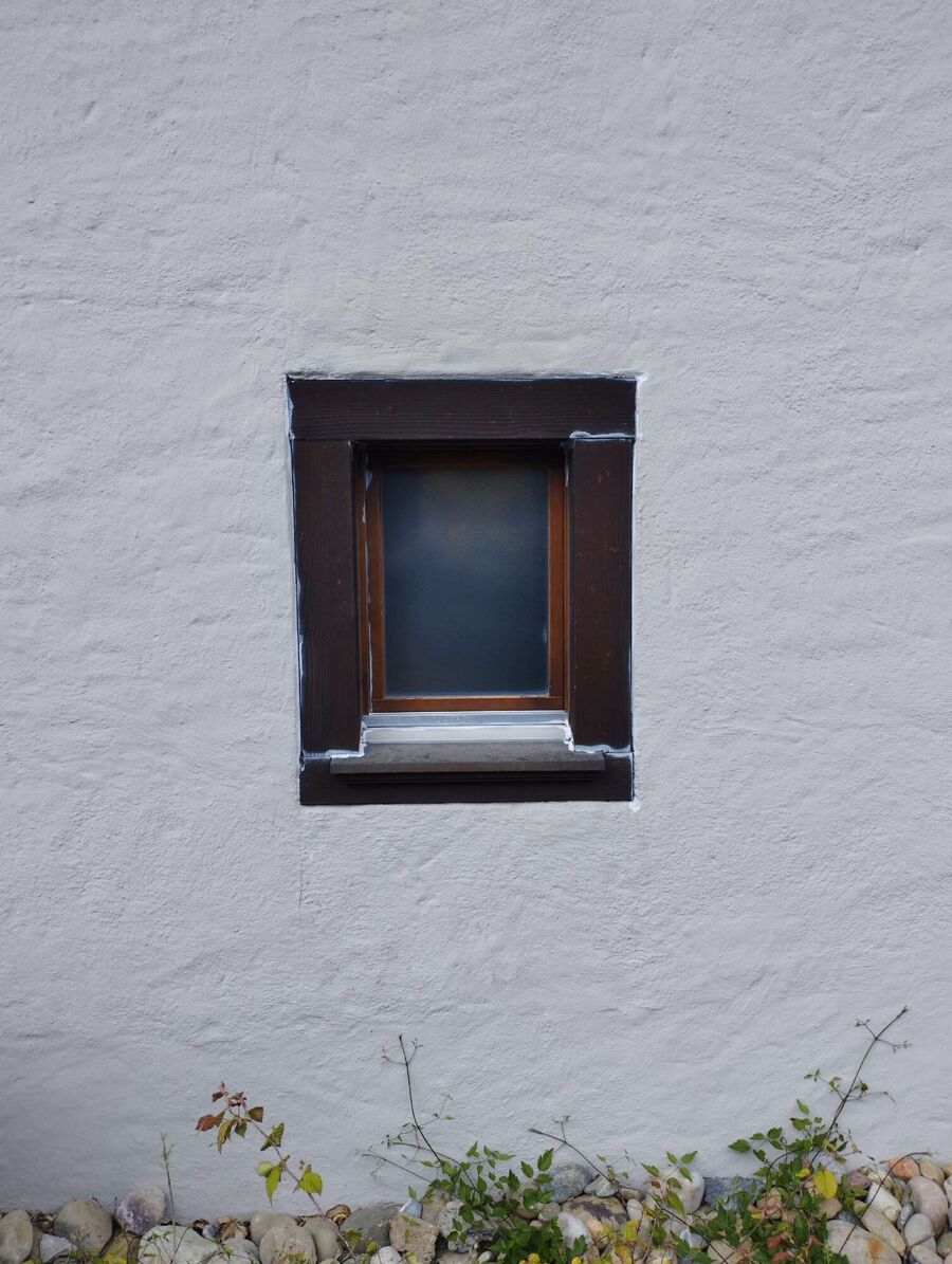 ameisen_vertreiben_bekaempfen_entfernen