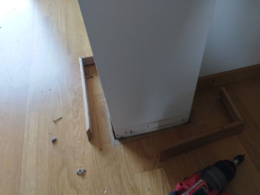 ameisen_vertreiben_bekaempfen_entfernen