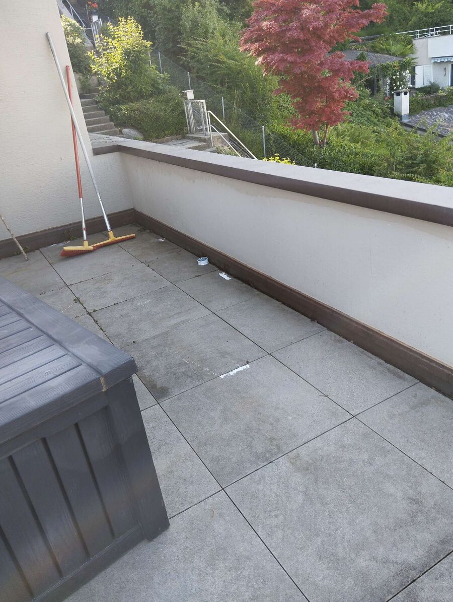 ameisen_vertreiben_bekaempfen_entfernen