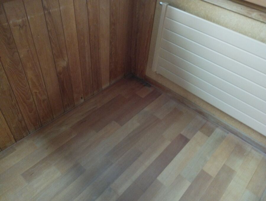 ameisen_vertreiben_bekaempfen_entfernen