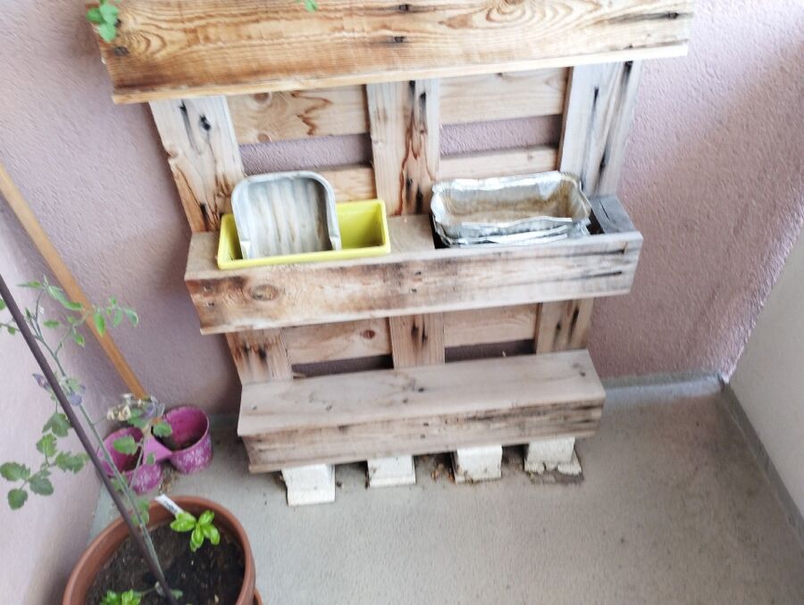 ameisen_vertreiben_bekaempfen_entfernen