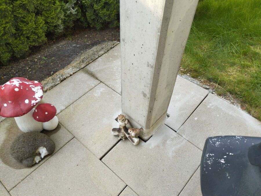 ameisen_vertreiben_bekaempfen_entfernen