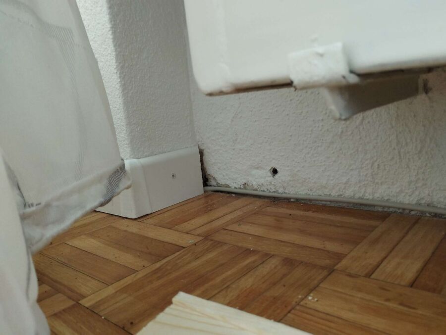 ameisen_vertreiben_bekaempfen_entfernen