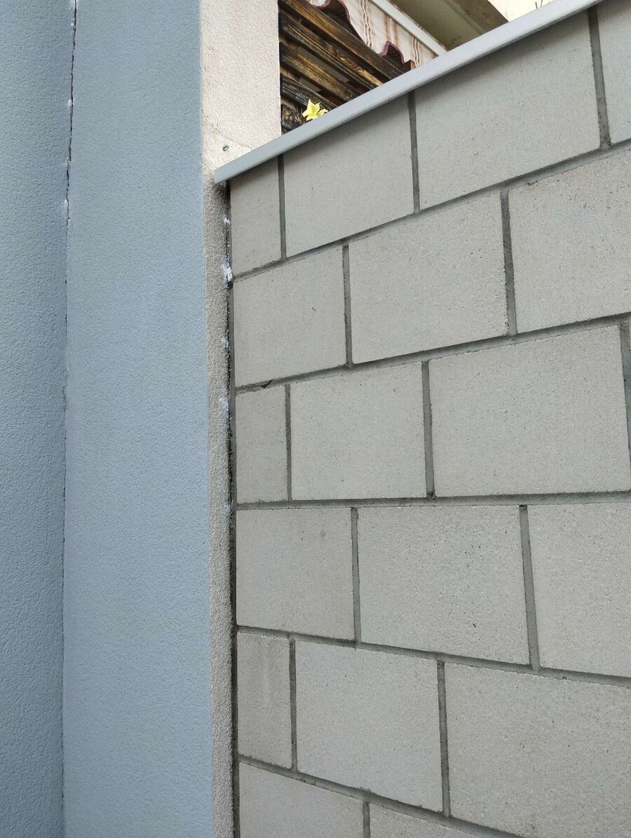 ameisen_vertreiben_bekaempfen_entfernen