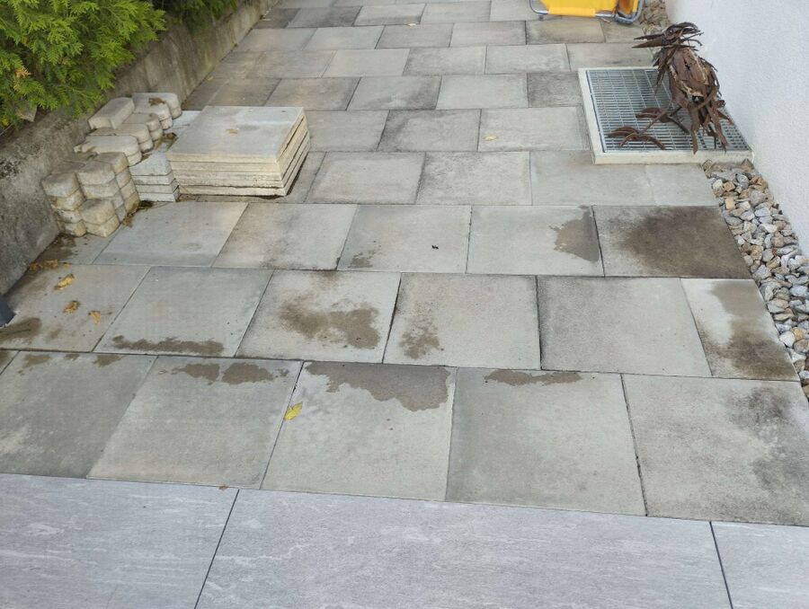 ameisen_vertreiben_bekaempfen_entfernen