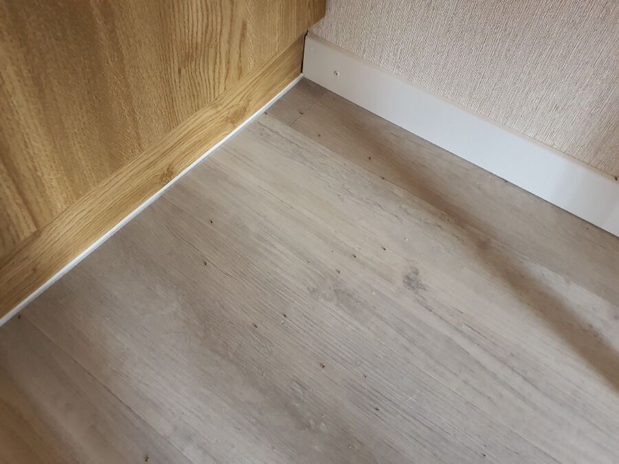 ameisen_vertreiben_bekaempfen_entfernen