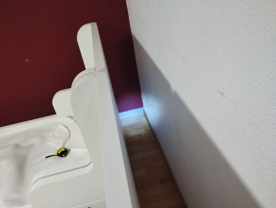 ameisen_vertreiben_bekaempfen_entfernen