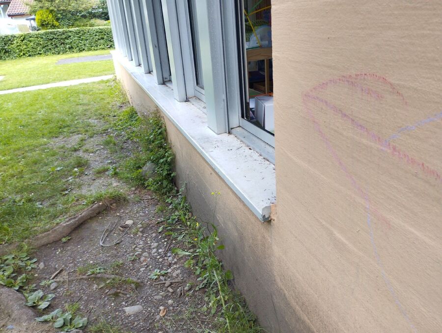 ameisen_vertreiben_bekaempfen_entfernen