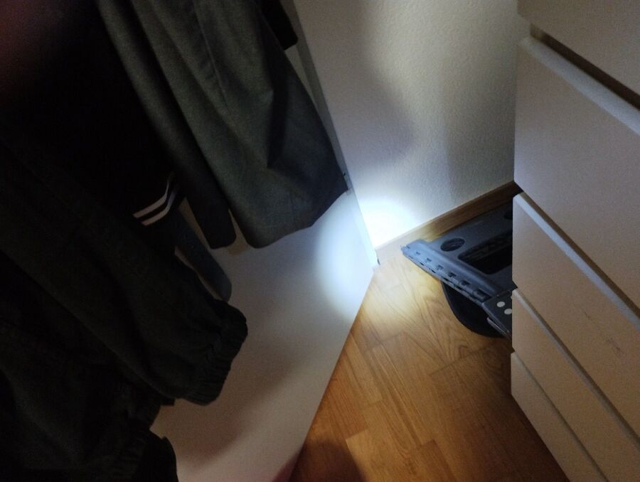 ameisen_vertreiben_bekaempfen_entfernen