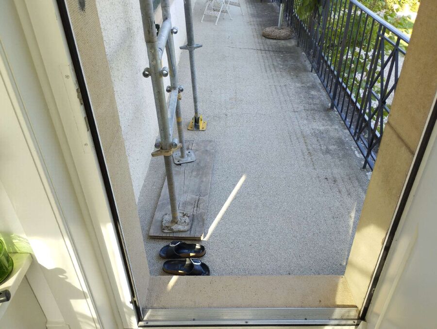 ameisen_vertreiben_bekaempfen_entfernen