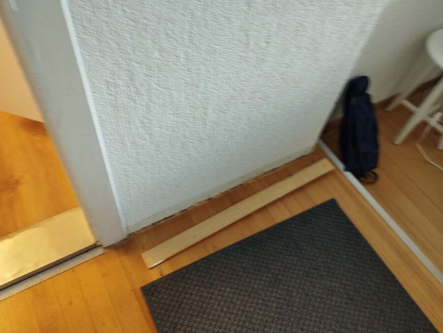 ameisen_vertreiben_bekaempfen_entfernen