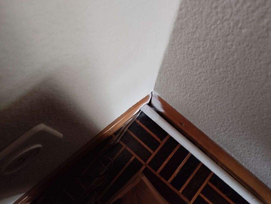 ameisen_vertreiben_bekaempfen_entfernen