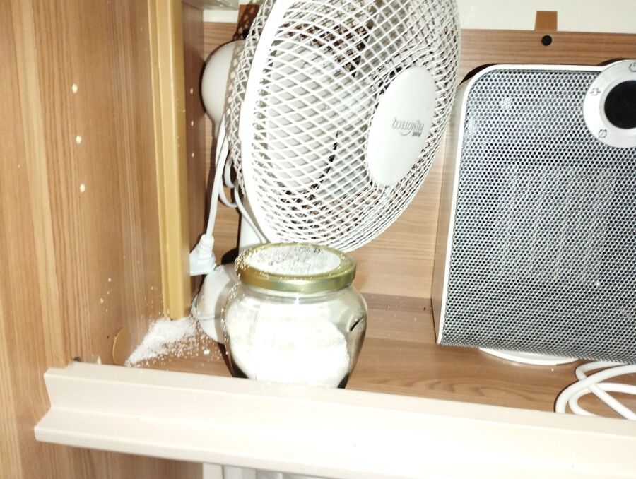 ameisen_vertreiben_bekaempfen_entfernen