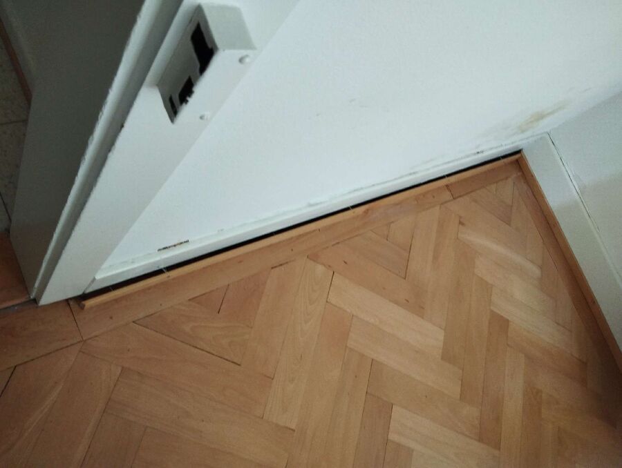 ameisen_vertreiben_bekaempfen_entfernen