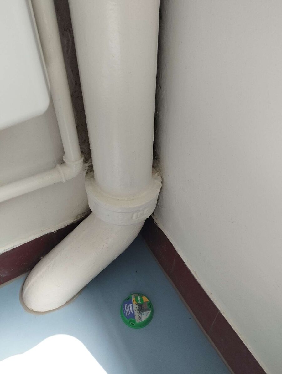 ameisen_vertreiben_bekaempfen_entfernen