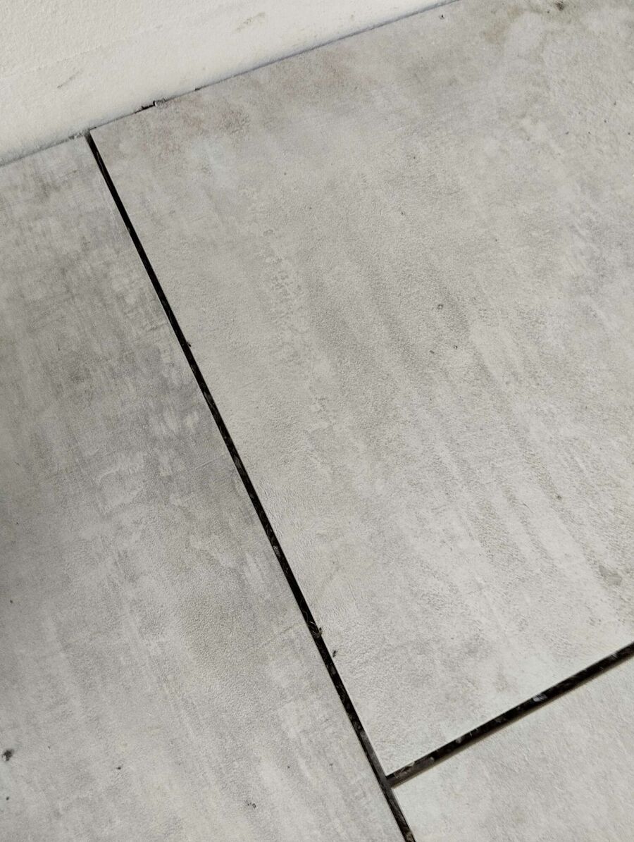 ameisen_vertreiben_bekaempfen_entfernen