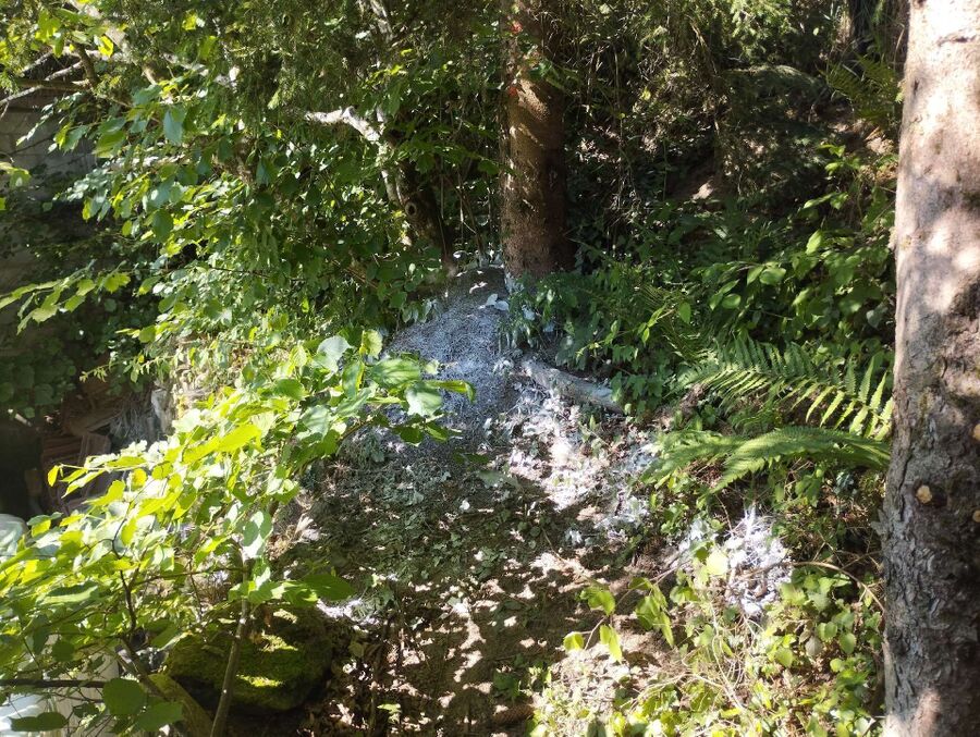 ameisen_vertreiben_bekaempfen_entfernen