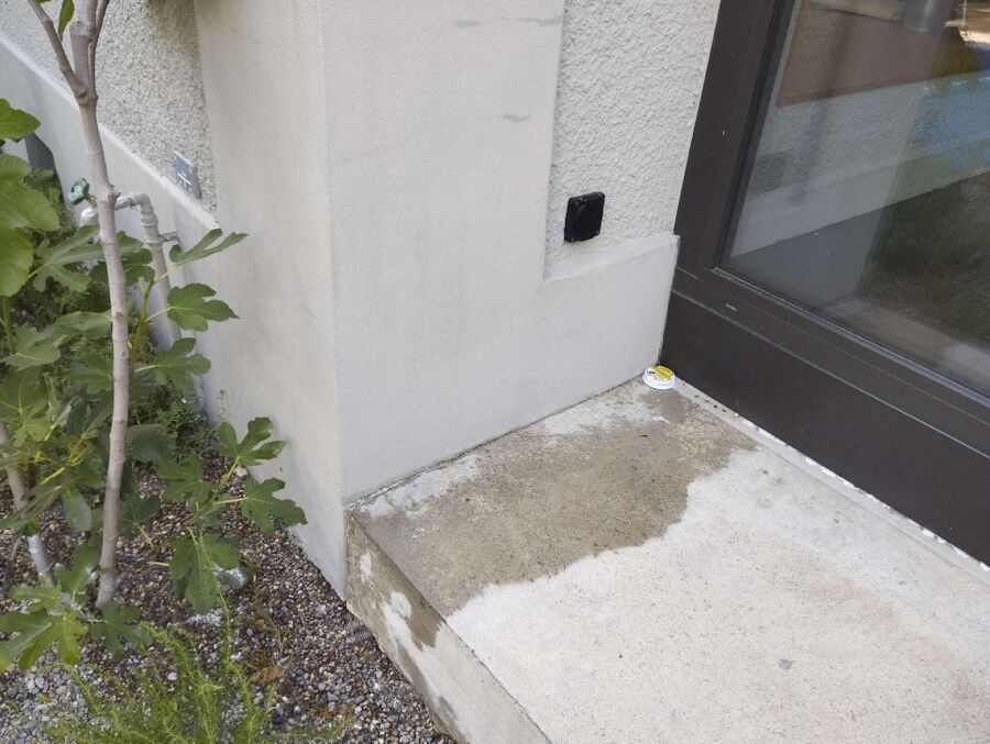 ameisen_vertreiben_bekaempfen_entfernen