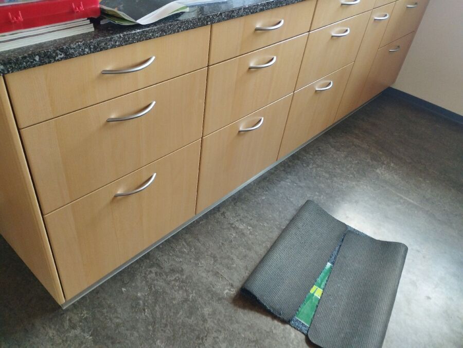 ameisen_vertreiben_bekaempfen_entfernen