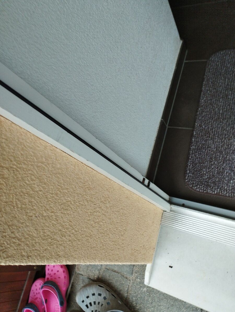 ameisen_vertreiben_bekaempfen_entfernen