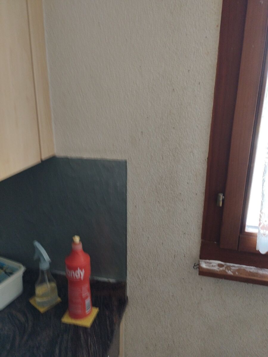 ameisen_vertreiben_bekaempfen_entfernen