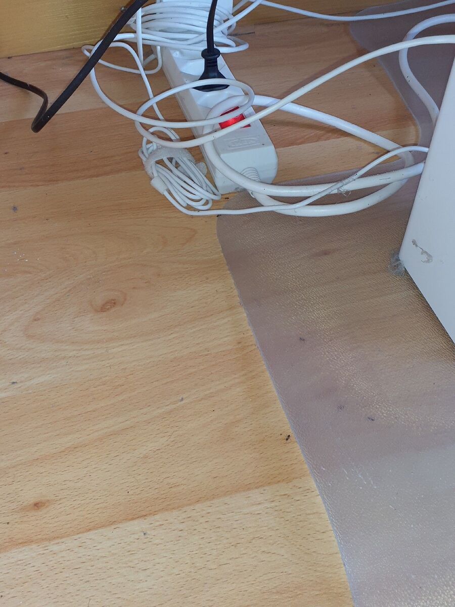 ameisen_vertreiben_bekaempfen_entfernen