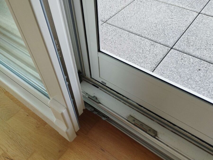 ameisen_vertreiben_bekaempfen_entfernen