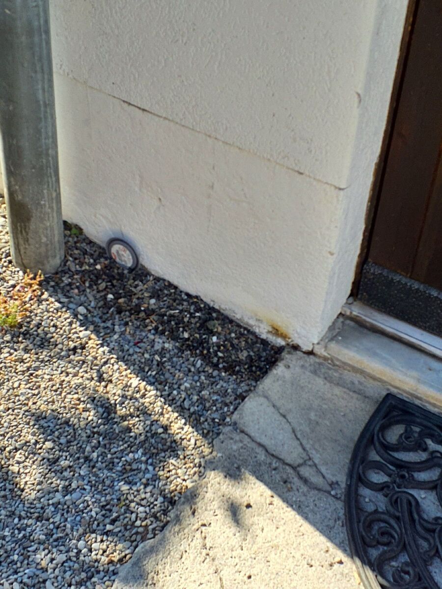 ameisen_vertreiben_bekaempfen_entfernen