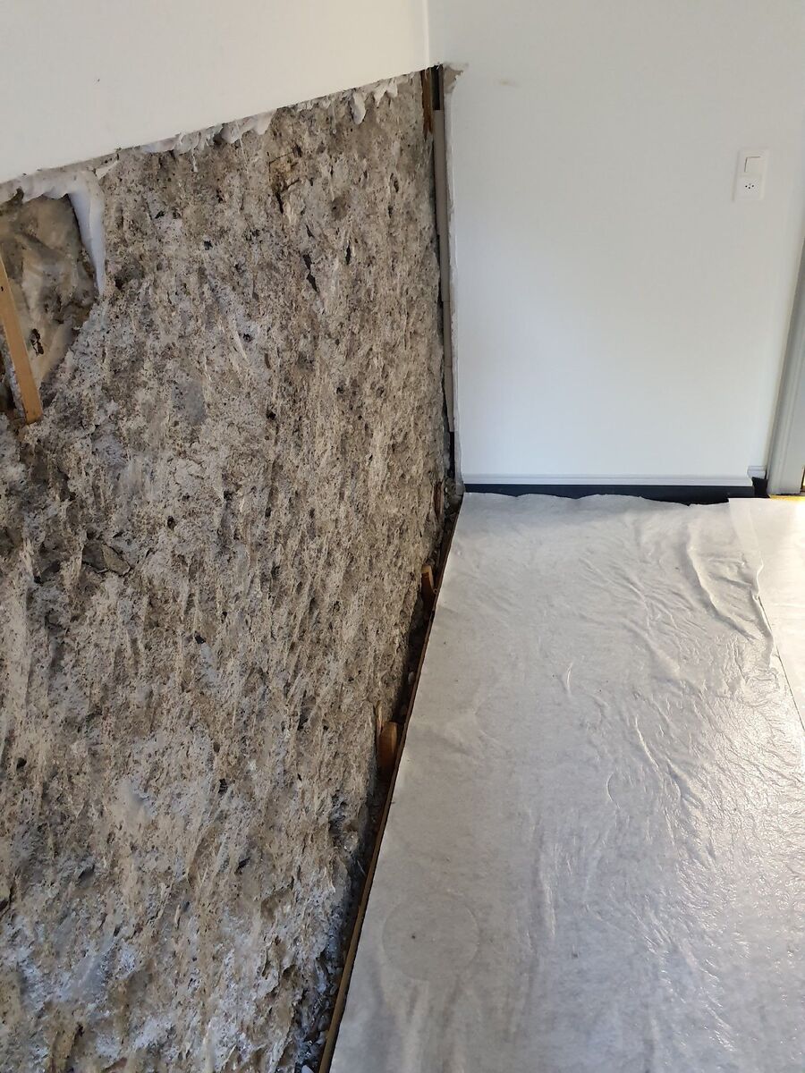 ameisen_vertreiben_bekaempfen_entfernen