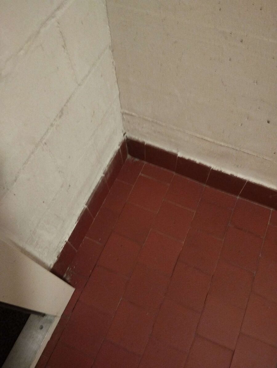 ameisen_vertreiben_bekaempfen_entfernen