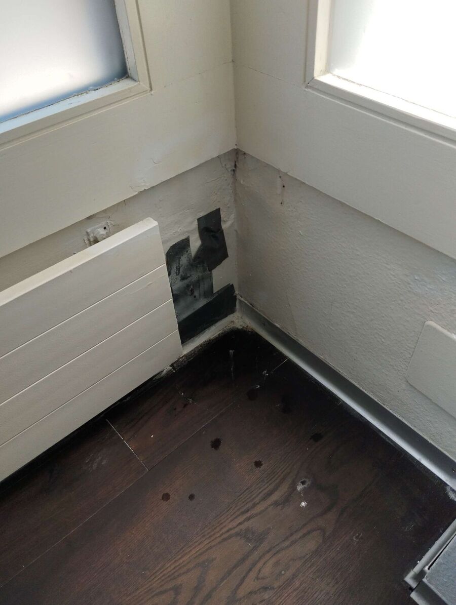 ameisen_vertreiben_bekaempfen_entfernen