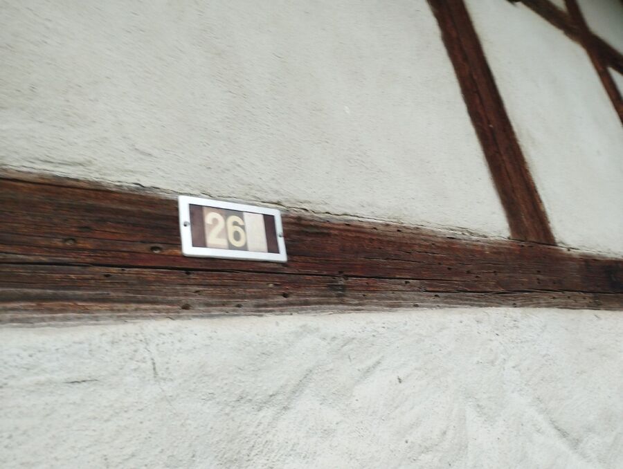 ameisen_vertreiben_bekaempfen_entfernen