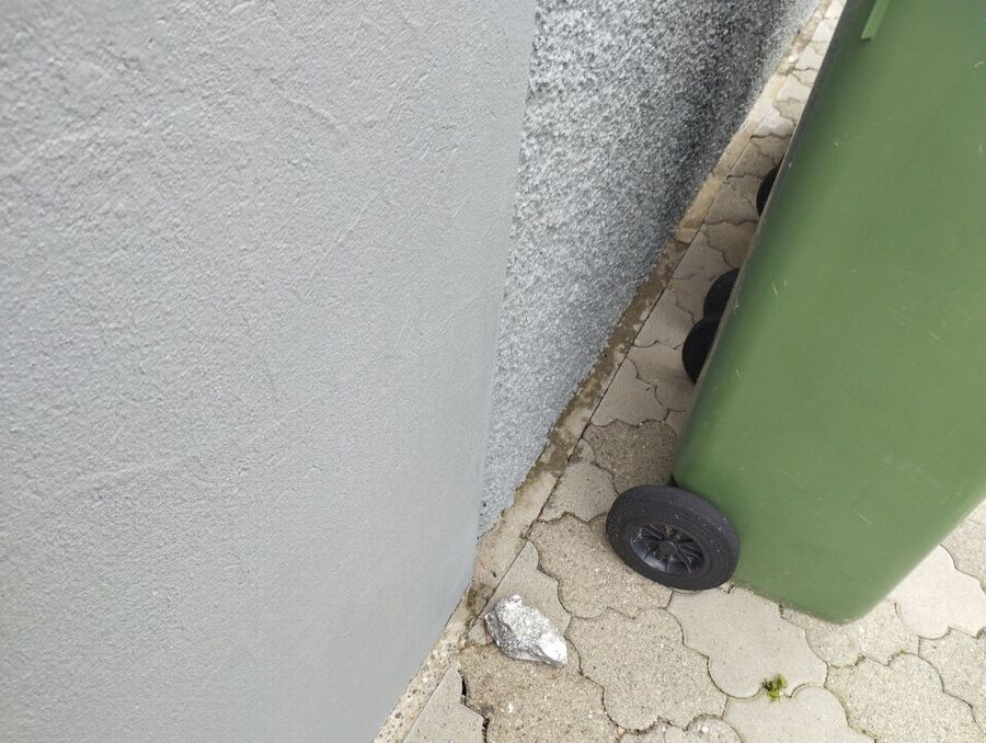 ameisen_vertreiben_bekaempfen_entfernen