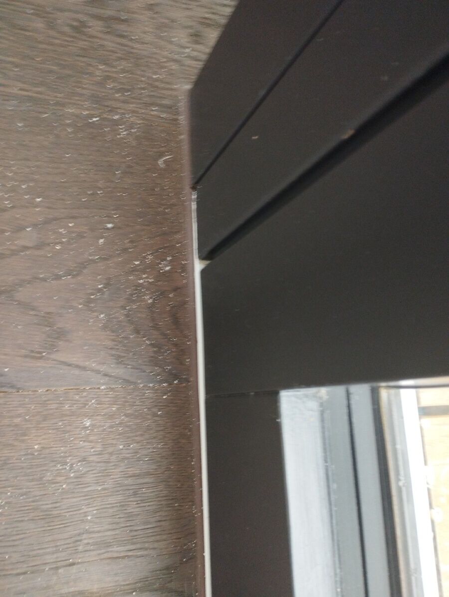 ameisen_vertreiben_bekaempfen_entfernen