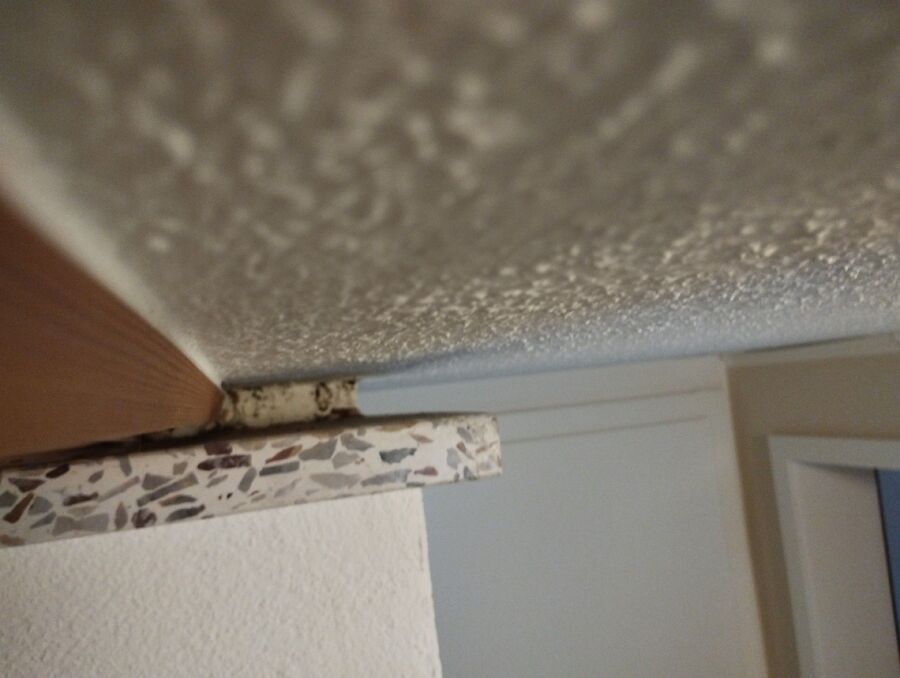 ameisen_vertreiben_bekaempfen_entfernen