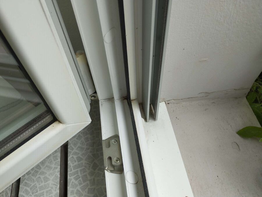 ameisen_vertreiben_bekaempfen_entfernen