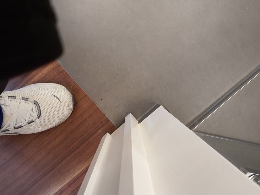 ameisen_vertreiben_bekaempfen_entfernen