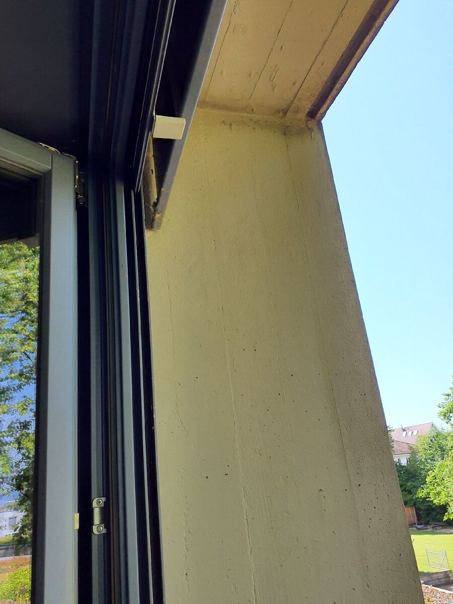 ameisen_vertreiben_bekaempfen_entfernen