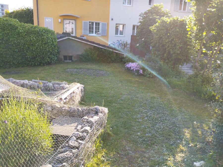 ameisen_vertreiben_bekaempfen_entfernen