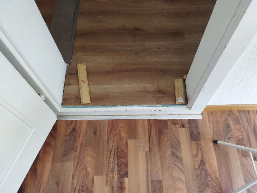 ameisen_vertreiben_bekaempfen_entfernen