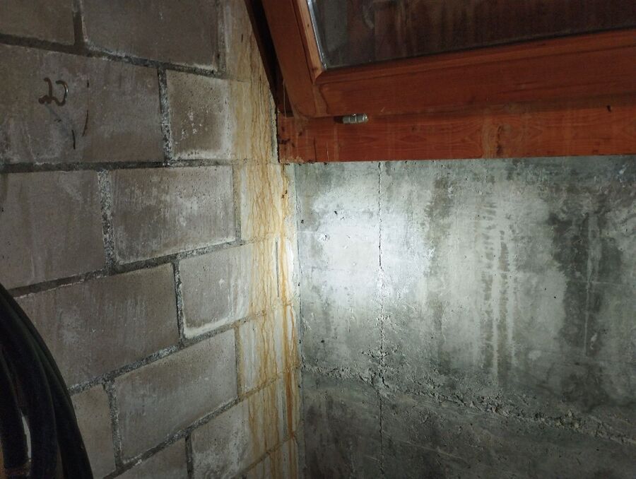 ameisen_vertreiben_bekaempfen_entfernen