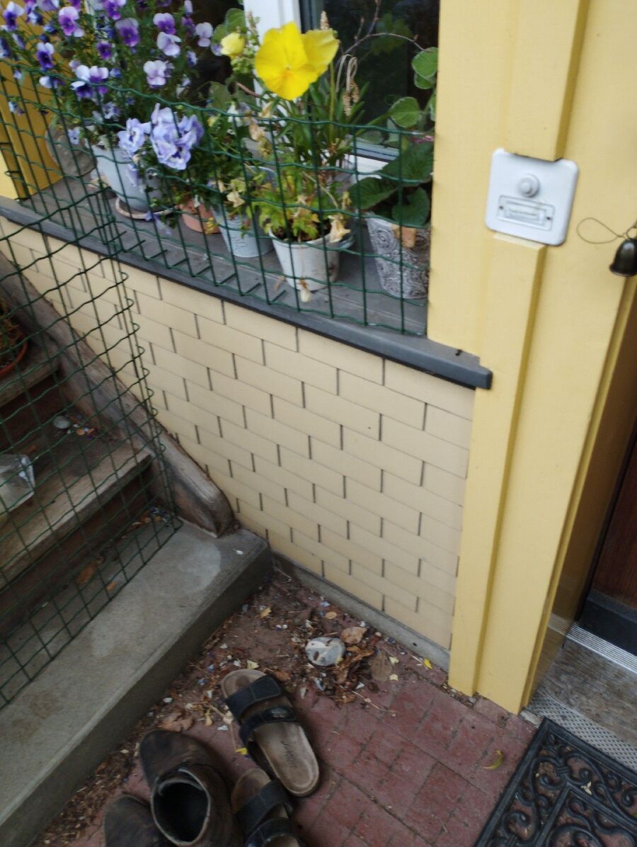 ameisen_vertreiben_bekaempfen_entfernen