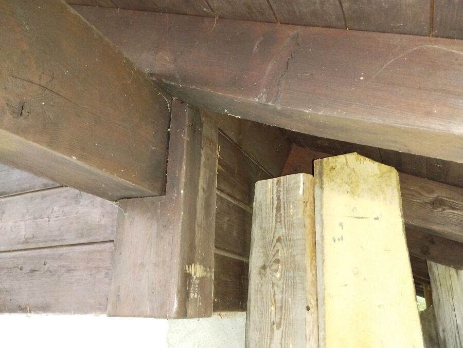 ameisen_vertreiben_bekaempfen_entfernen