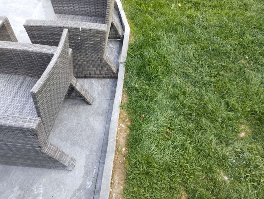 ameisen_vertreiben_bekaempfen_entfernen