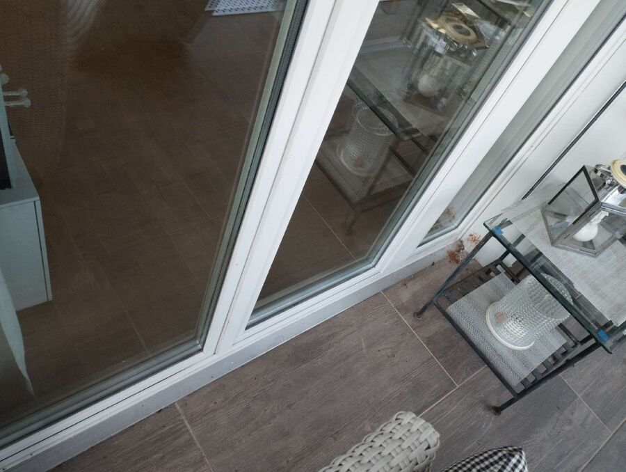 ameisen_vertreiben_bekaempfen_entfernen