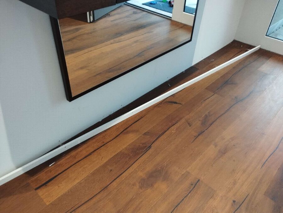 ameisen_vertreiben_bekaempfen_entfernen