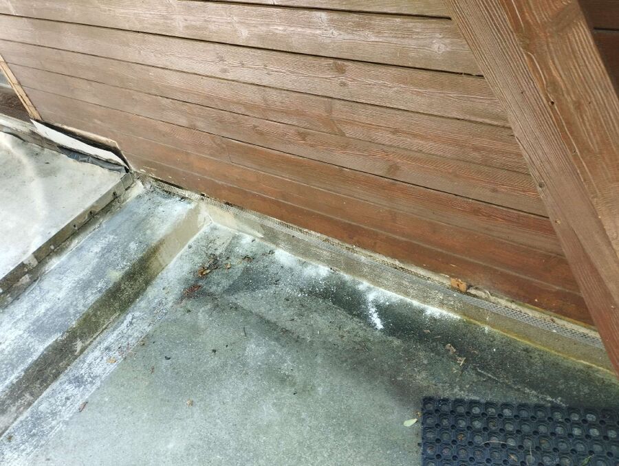 ameisen_vertreiben_bekaempfen_entfernen