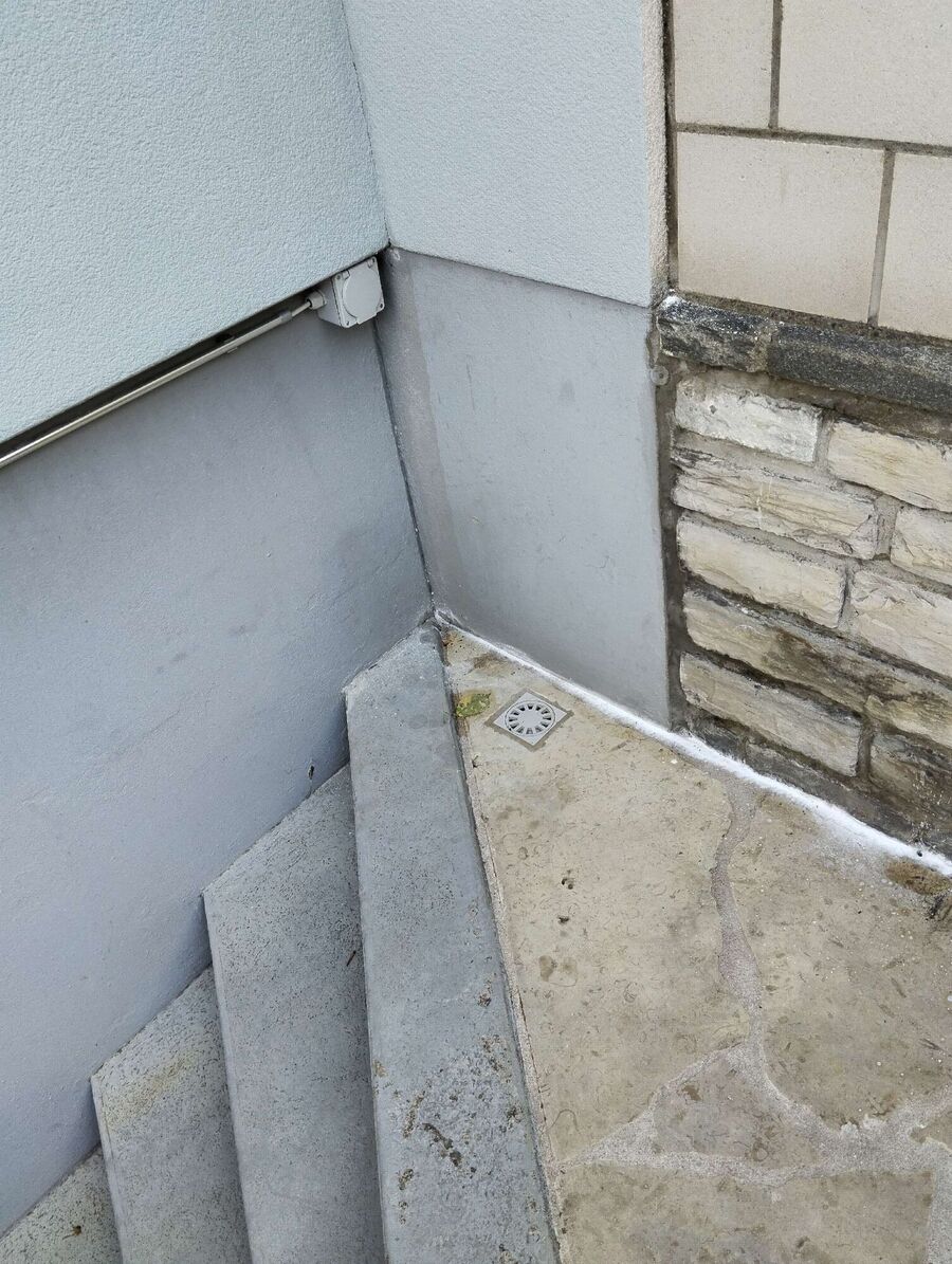 ameisen_vertreiben_bekaempfen_entfernen